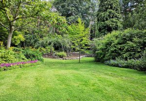 Optimiser l'expérience du jardin à Montet-et-Bouxal